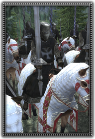 Knights Hospitaller 醫院騎士