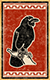 Carrier Pigeons