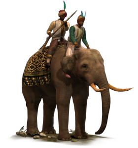 Elephant Musketeers