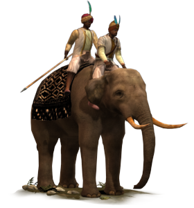 War Elephants