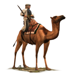 Camel Nomads