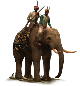 Elephant Musketeers