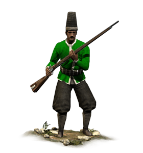 Nizam-I Cedit Rifles