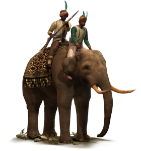 Elephant Musketeers